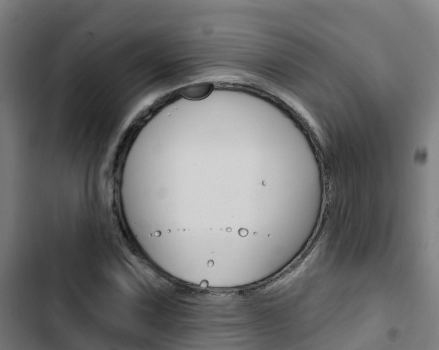 X0000103421067200809121007