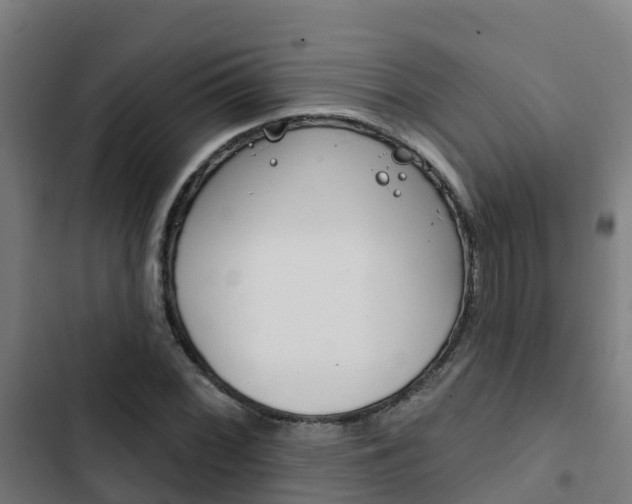 X0000103421068200809121007