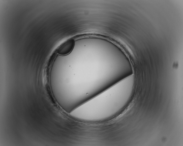 X0000103421069200809121007