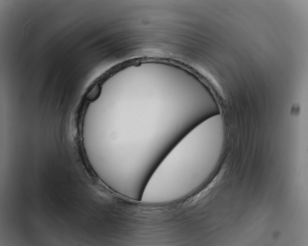 X0000103421070200809121007
