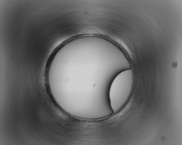 X0000103421071200809121007