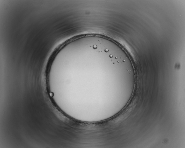 X0000103421072200809121007