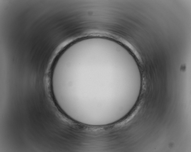 X0000103421074200809121007