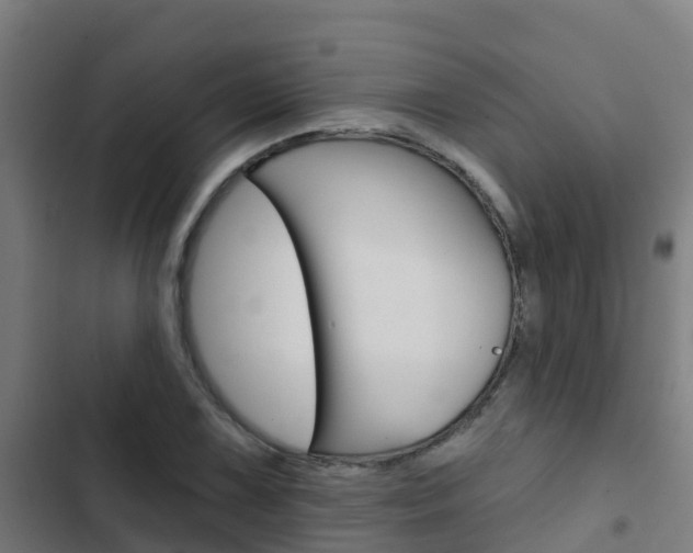 X0000103421075200809121007