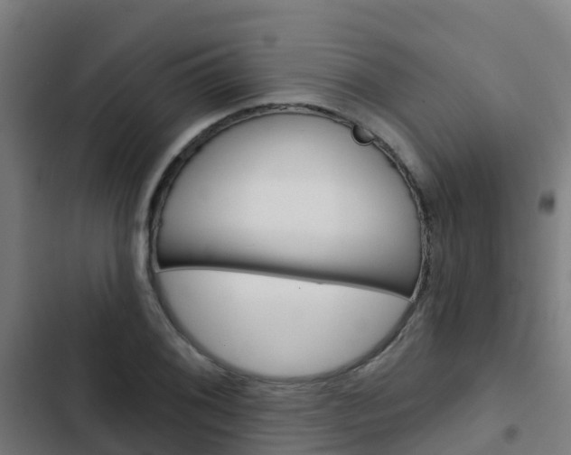 X0000103421076200809121007