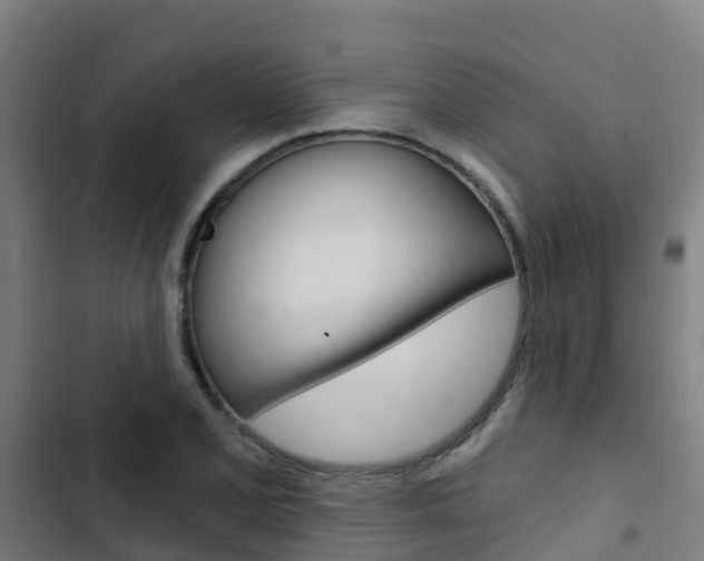X0000103421077200809121007