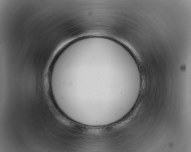 X0000103421078200809121007