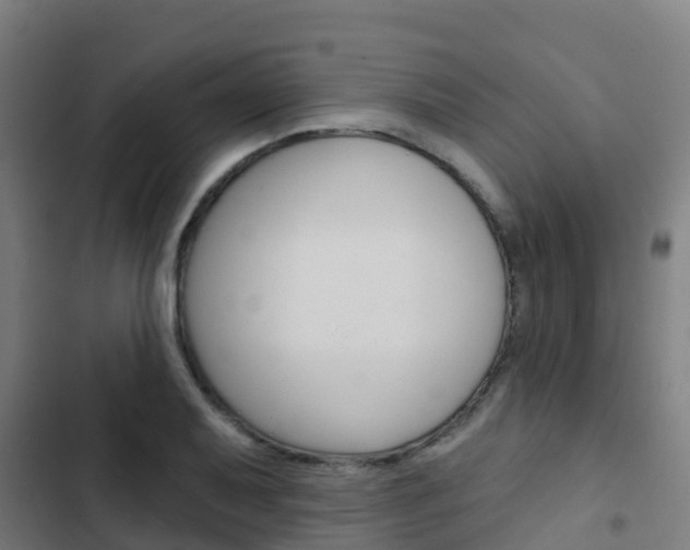X0000103421079200809121007