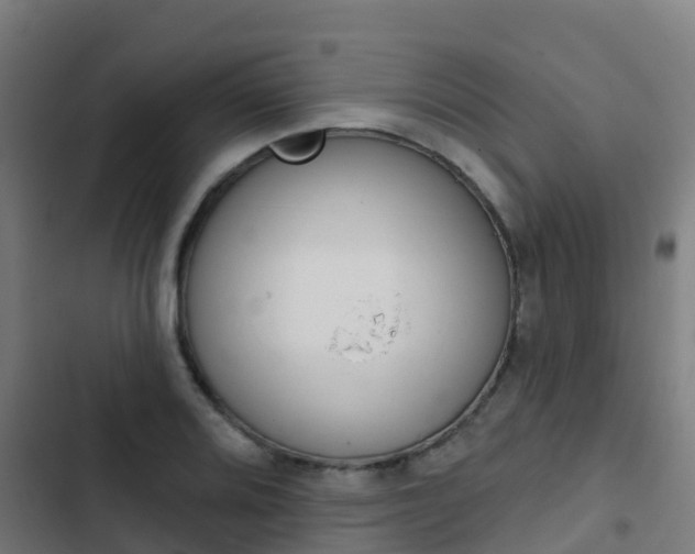 X0000103421080200809121007