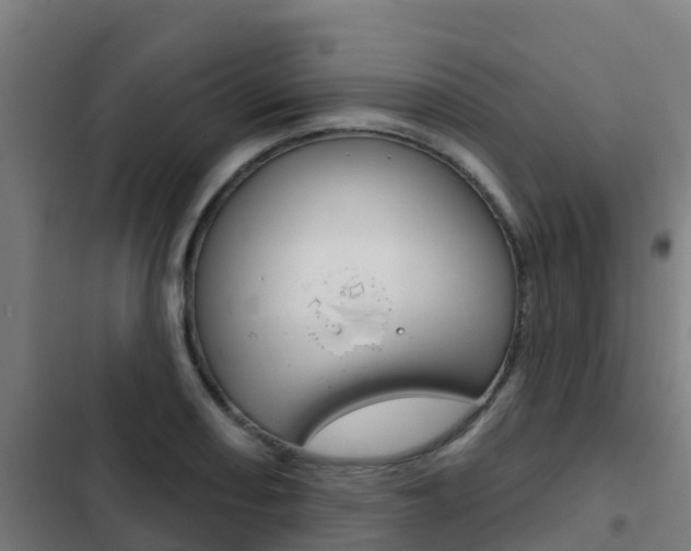 X0000103421082200809121007