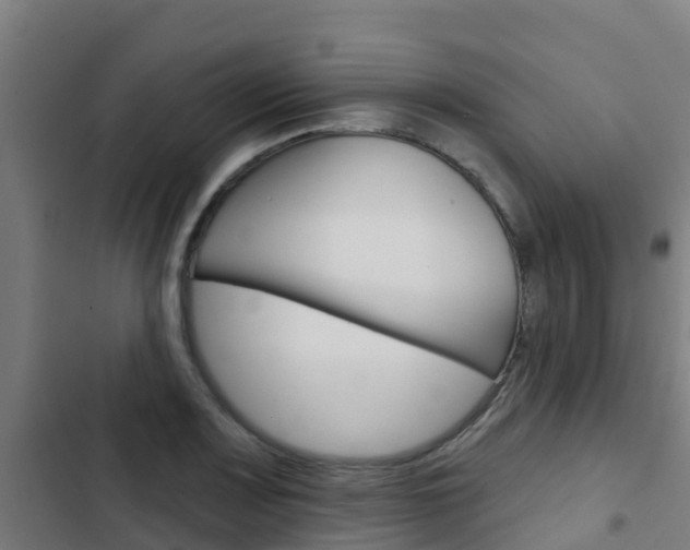 X0000103421083200809121007