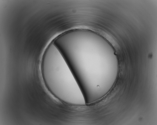 X0000103421084200809121007