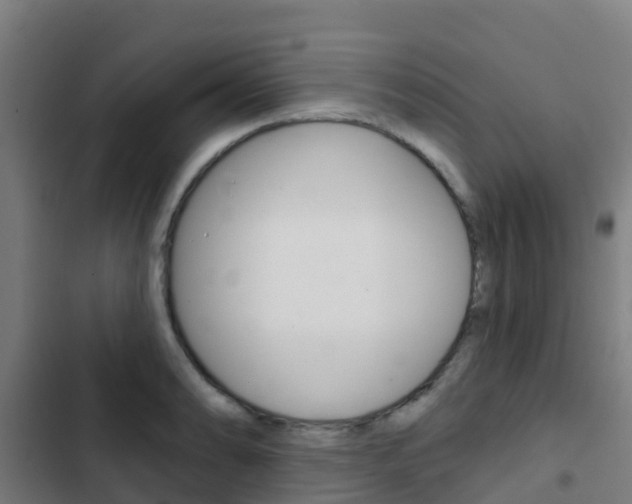 X0000103421086200809121007