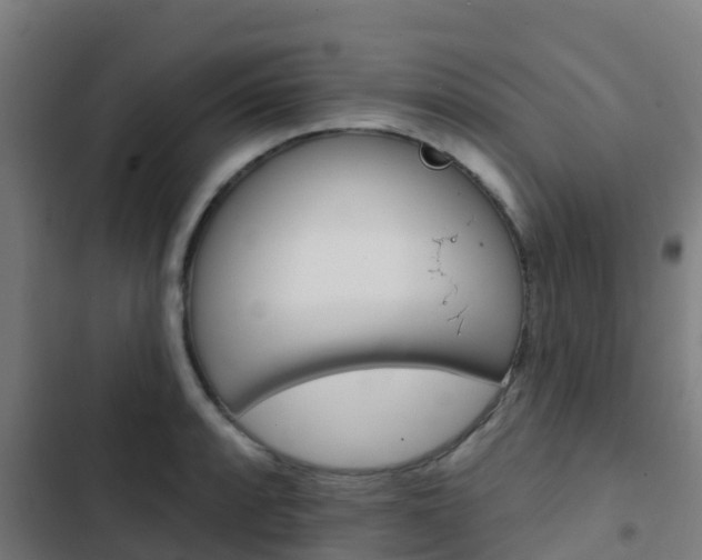 X0000103421088200809121007