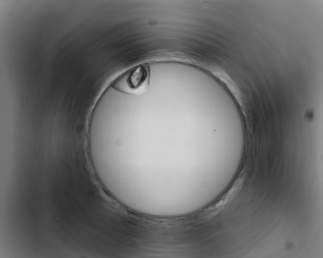 X0000103421089200809121007