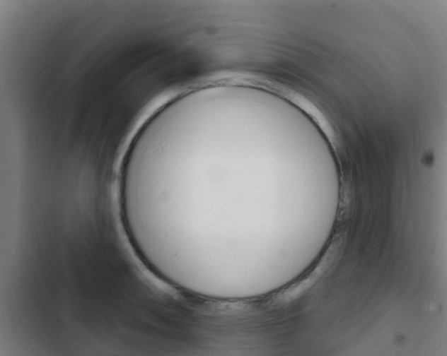 X0000103421090200809121006