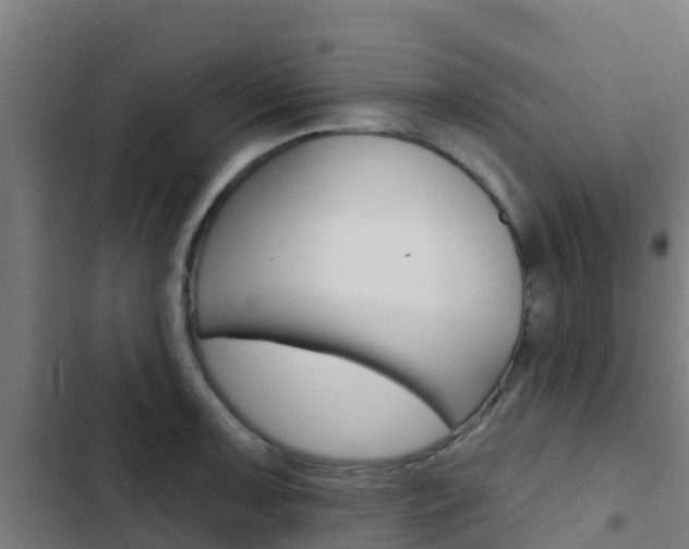 X0000103421091200809121006