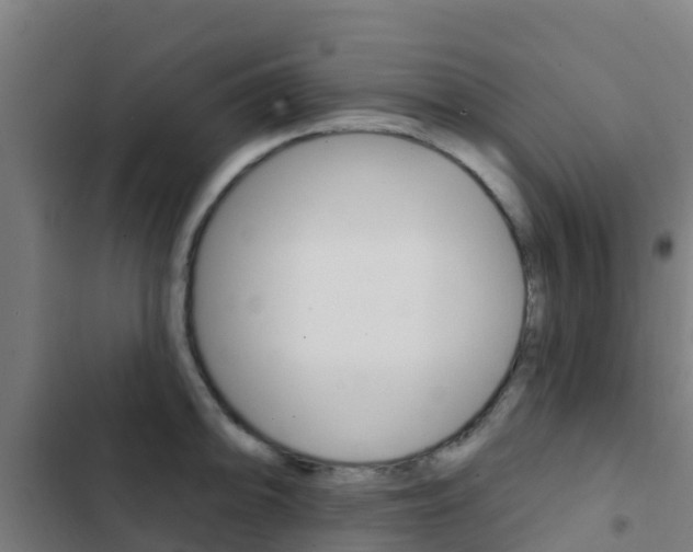 X0000103421094200809121006