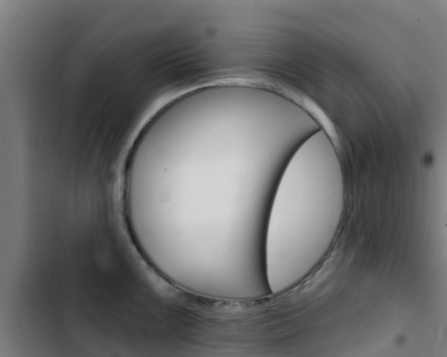 X0000103421099200809121006