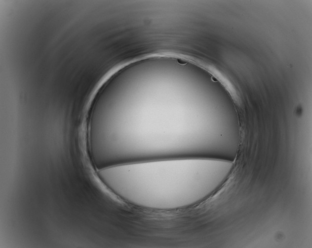 X0000103421100200809121006