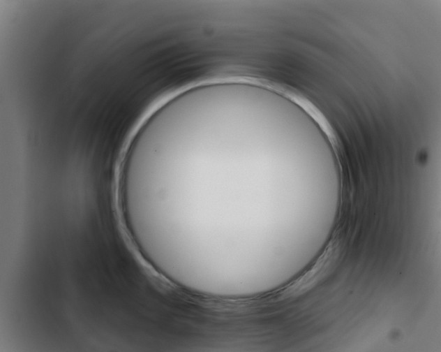 X0000103421101200809121006
