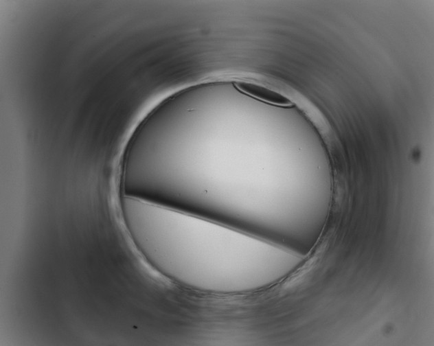 X0000103421102200809121006