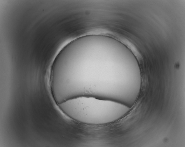 X0000103421103200809121006