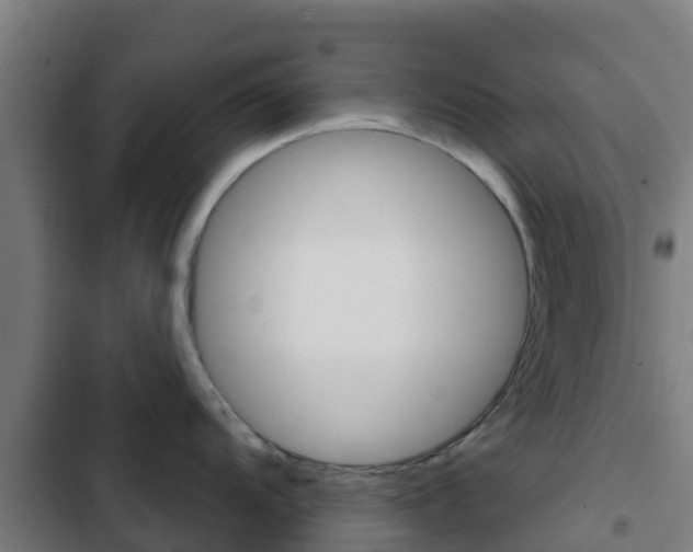 X0000103421104200809121006