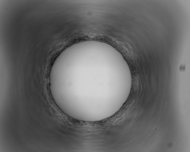 X0000103421105200809121006