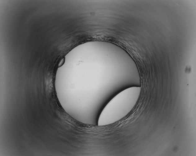 X0000103421106200809121006