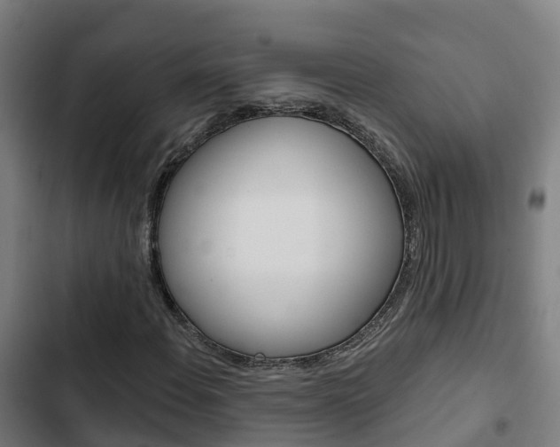 X0000103421108200809121006