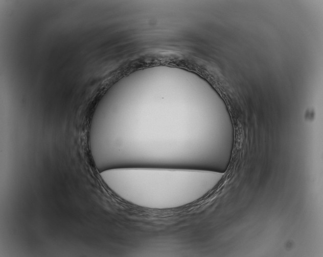 X0000103421109200809121006