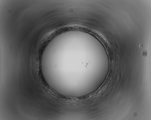 X0000103421111200809121006