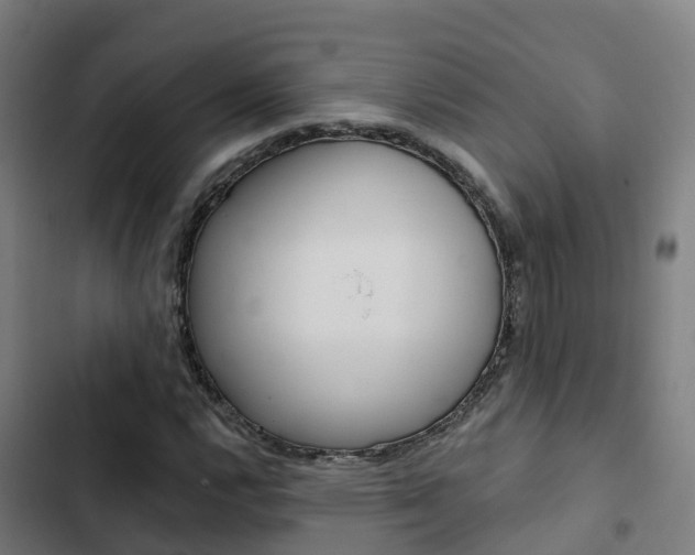X0000103421112200809121006