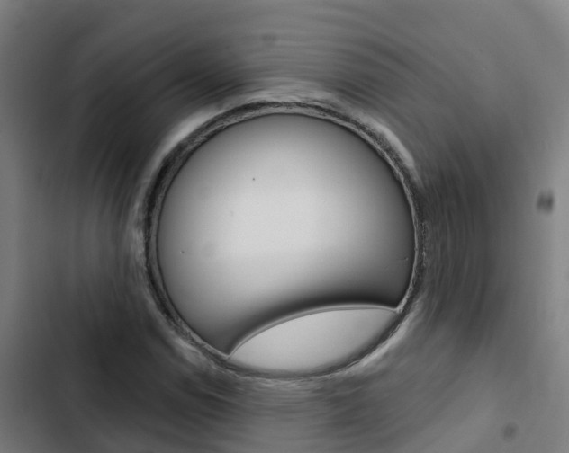 X0000103421114200809121006