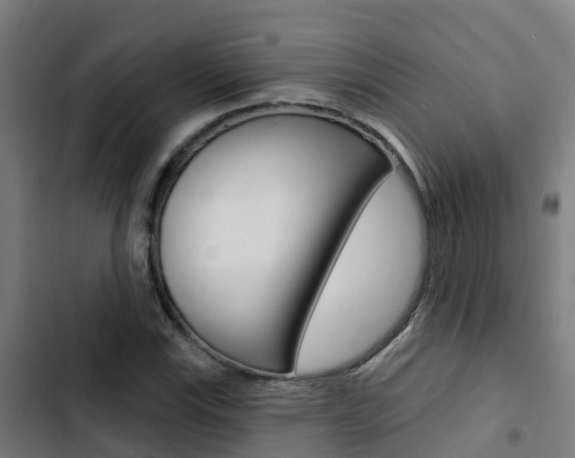 X0000103421115200809121006