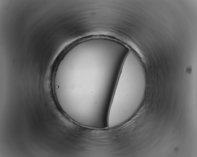 X0000103421116200809121006