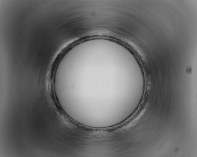 X0000103421117200809121006