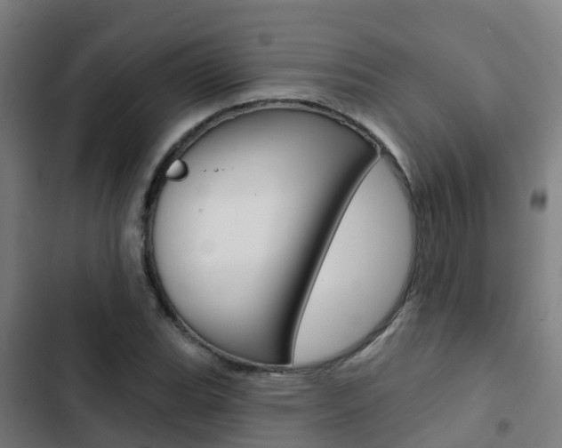 X0000103421119200809121006
