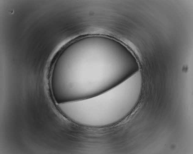 X0000103421120200809121006