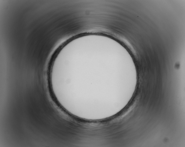 X0000103421122200809121006