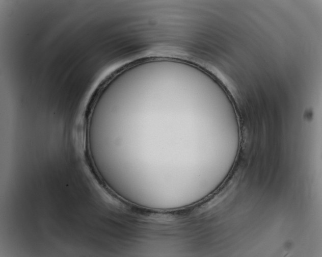 X0000103421123200809121006