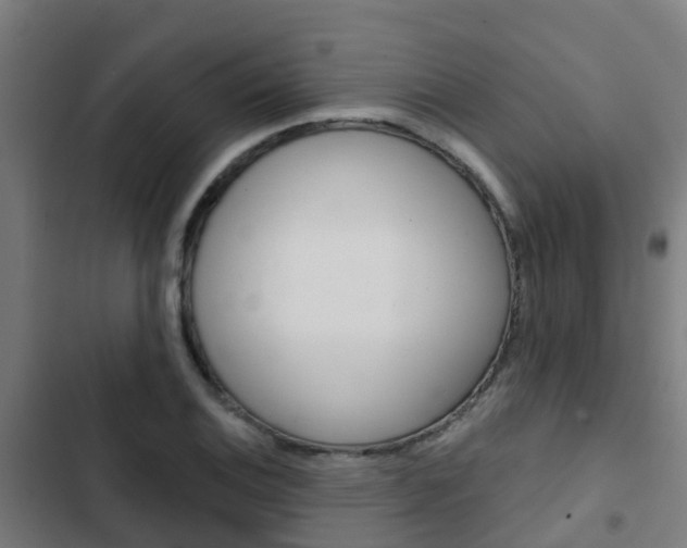 X0000103421124200809121006