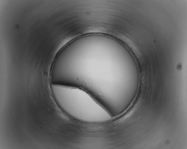 X0000103421129200809121006