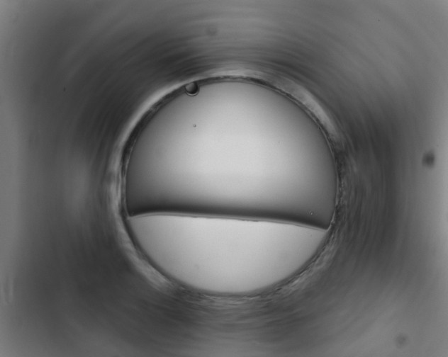 X0000103421132200809121006