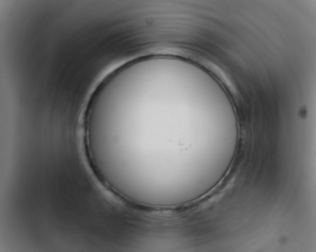 X0000103421133200809121006