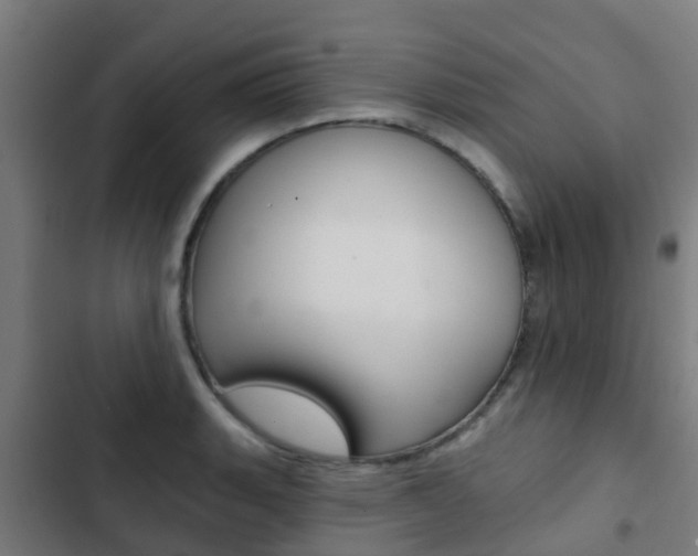 X0000103421135200809121006