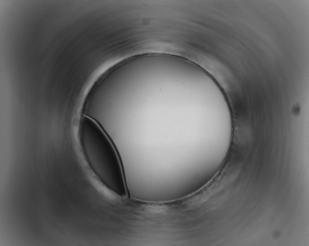 X0000103421136200809121006