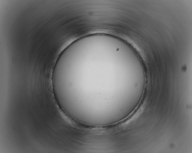 X0000103421137200809121006