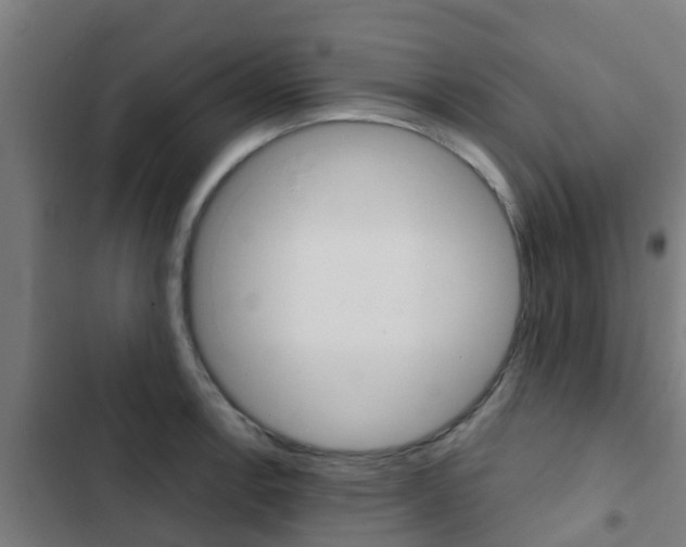 X0000103421138200809121006